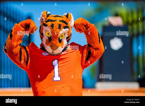 Clemson Tiger mascot identifier